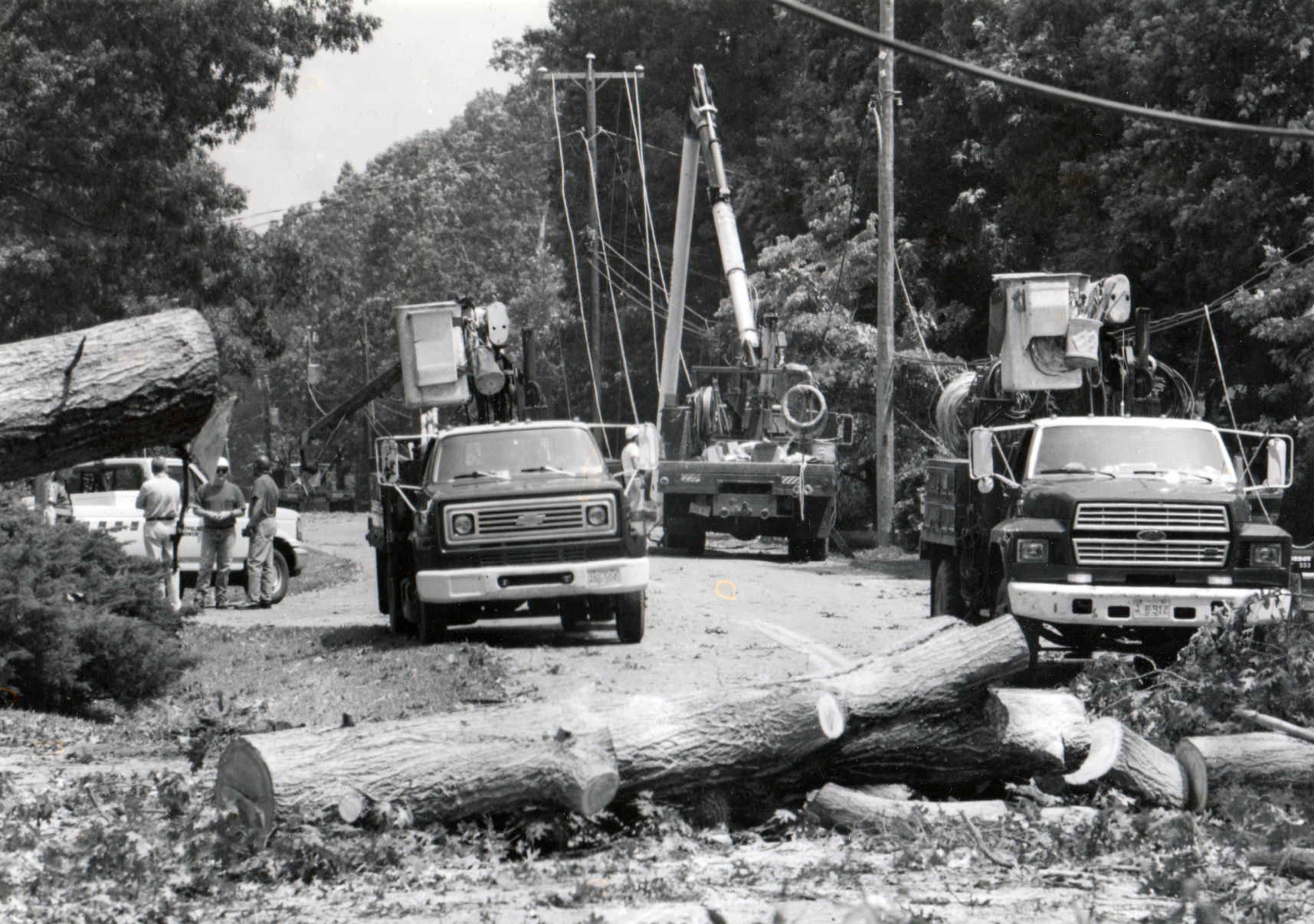 Windstorm of 1993